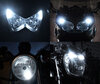 xenon white sidelight bulbs LED for KTM XCF-W 250 (2014 - 2016) Tuning