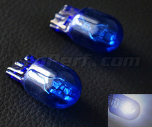 Pack of 2 super white Sidelight bulbs - Xenon White - W21/5W base - (dual filament)